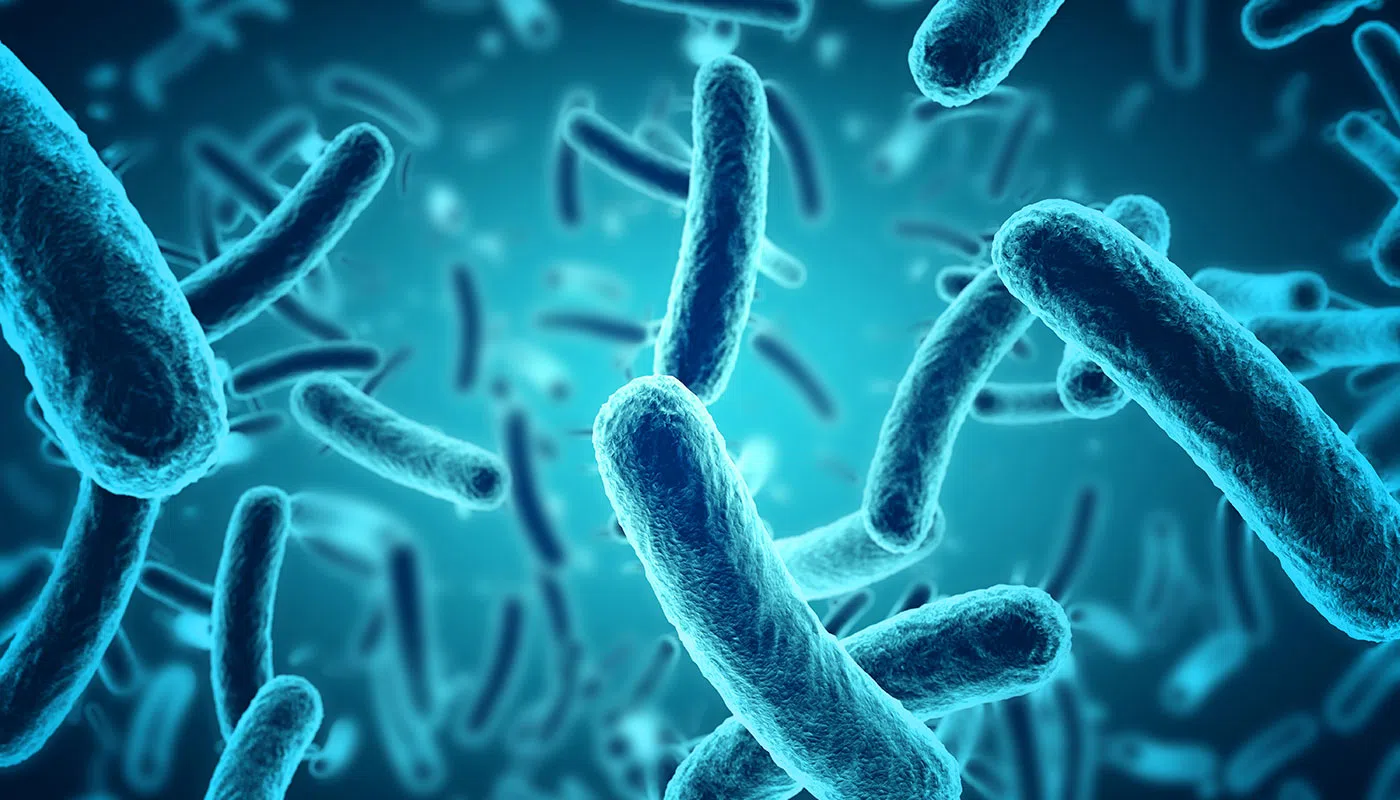 The origin of probiotics