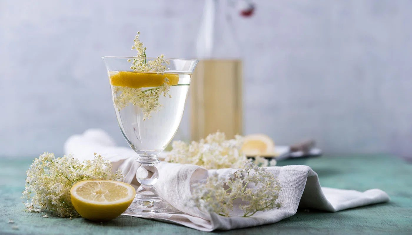 Immune health isn’t just for Christmas